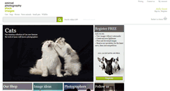 Desktop Screenshot of animal-photography.com