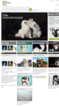 Mobile Screenshot of animal-photography.com