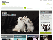 Tablet Screenshot of animal-photography.com